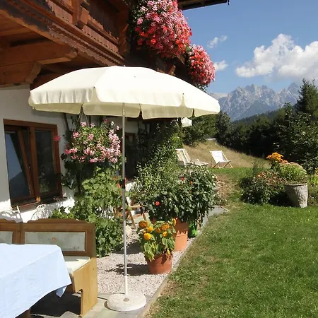 Joel פיברברון